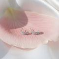 Curve Crystal  Mini Hoop Earrings